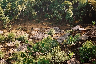 tropische Regenwald Chinas.